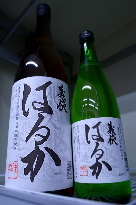 写真：義侠 はるか