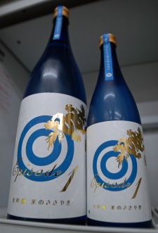 DSC_0022_edited-1.jpg